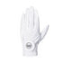 Premier 2.0 Golf Glove